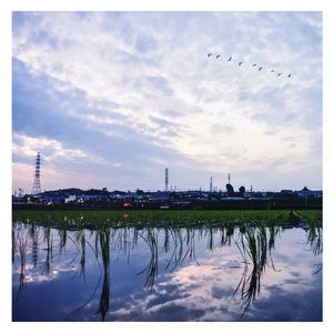 91无码粉嫩小泬无套在线哈尔滨
