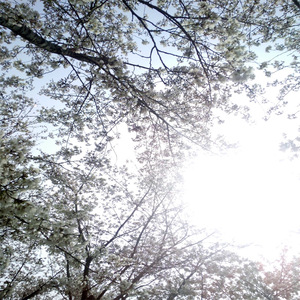 91无码粉嫩小泬无套在线哈尔滨
